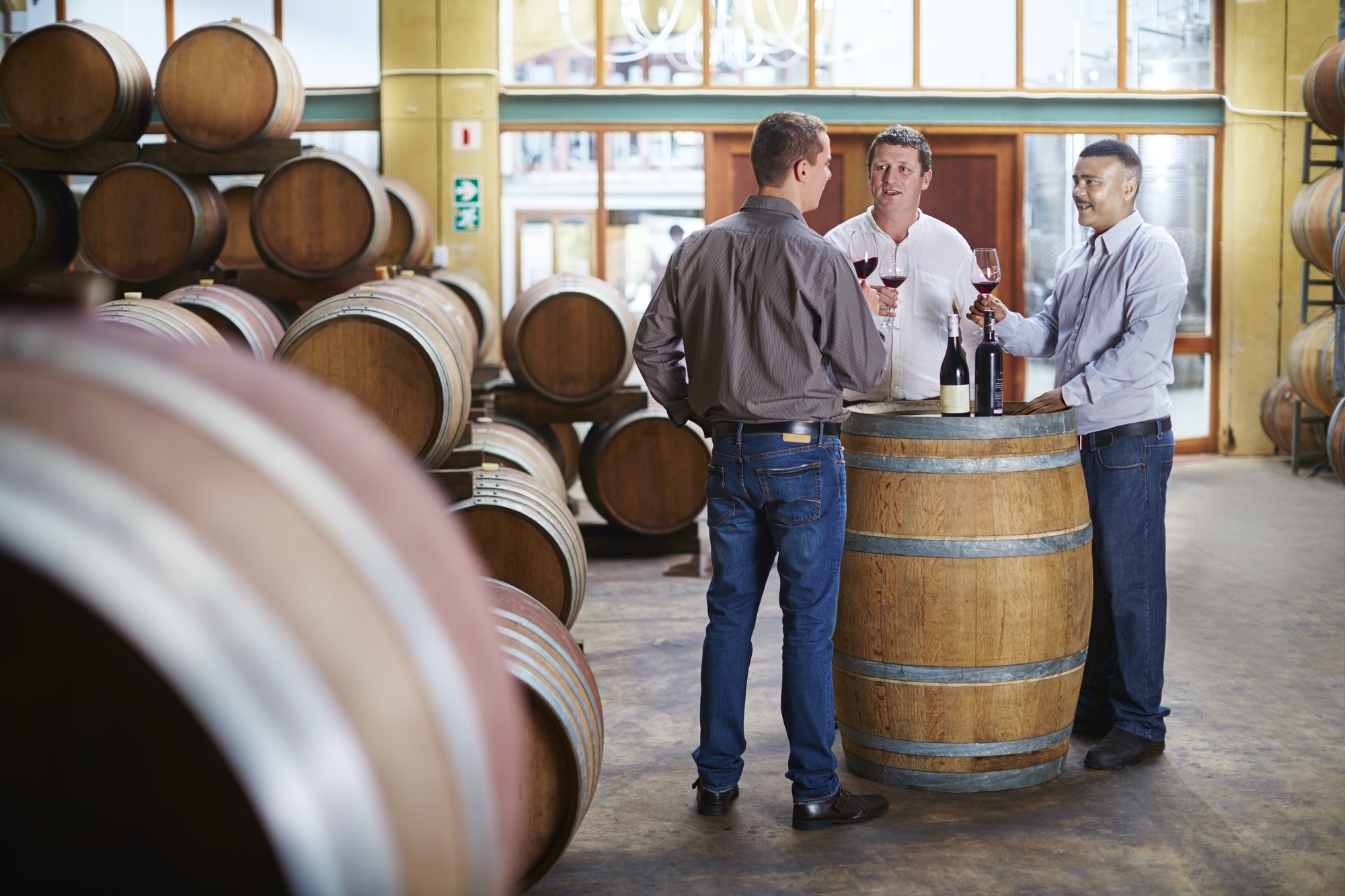 Wine makers tasting wine in wine cellar